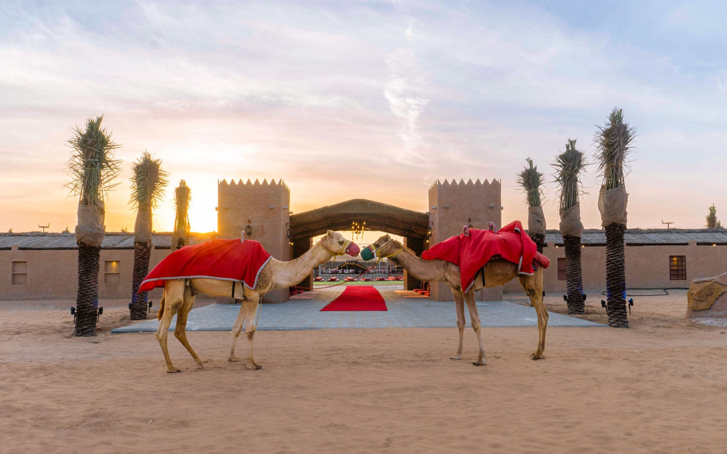 HiDubai-business-desert-spot-tourism-hotels-tourism-local-tours-activities-port-saeed-dubai-1