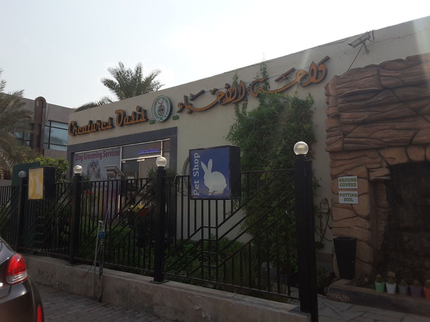 HiDubai-business-creatures-oasis-animals-pets-plants-pet-food-accessories-stores-jumeirah-1-dubai-2
