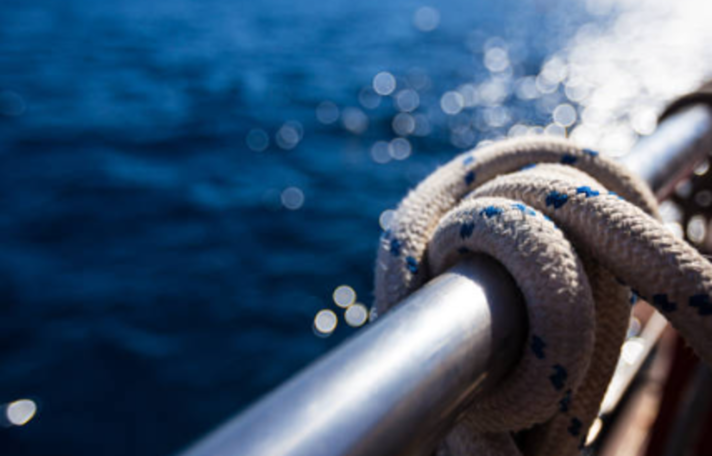 HiDubai-business-shipco-blue-marine-supply-and-services-b2b-services-distributors-wholesalers-al-jadaf-dubai