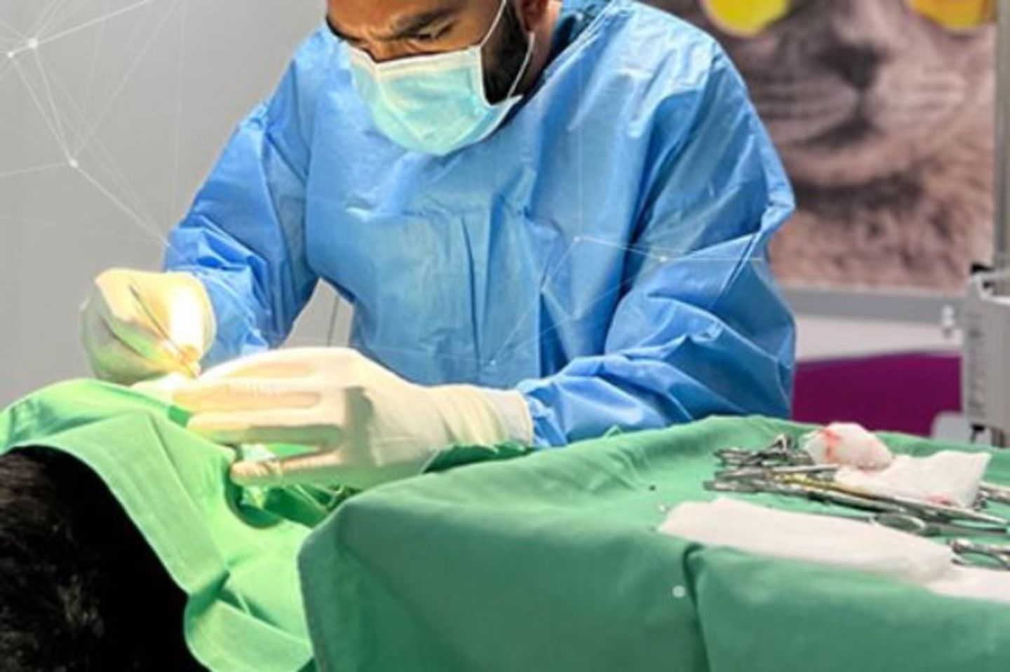 HiDubai-business-pet-first-veterinary-clinic-animals-pets-plants-pet-clinics-vets-al-barsha-3-dubai