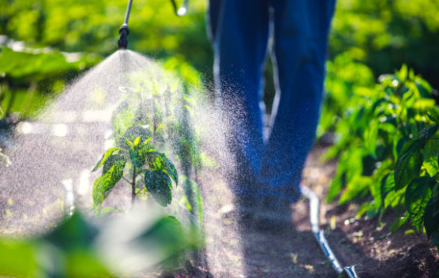 HiDubai-business-maxi-fresh-agricultural-pesticides-trading-construction-heavy-industries-chemical-metal-companies-al-garhoud-dubai