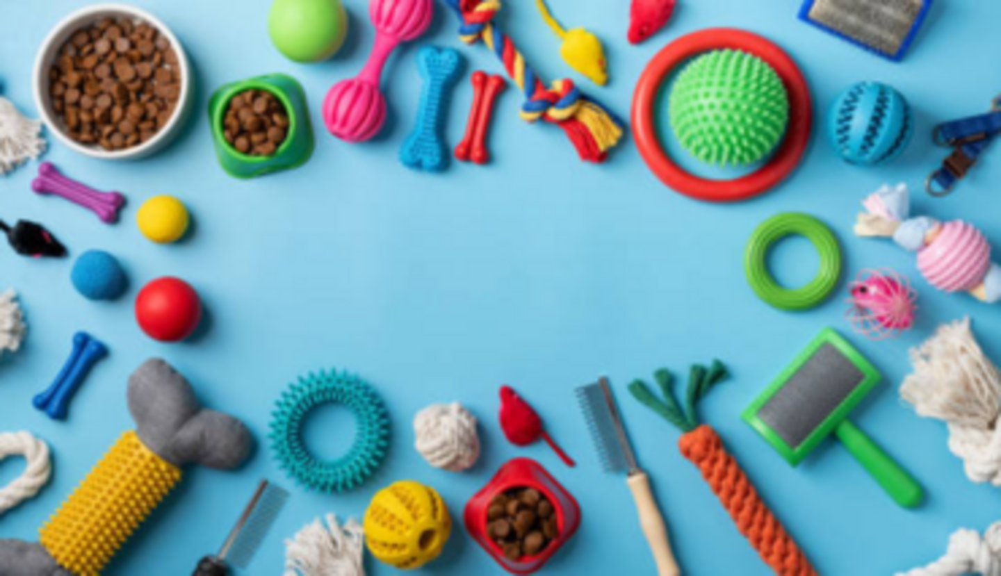 HiDubai-business-pet-mania-birds-trading-animals-pets-plants-pet-food-accessories-stores-international-city-warsan-1-dubai-2