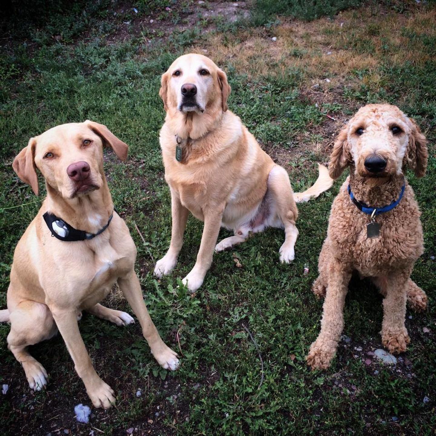 HiDubai-business-the-aquarium-store-shopping-souvenirs-gifts-burj-khalifa-dubai