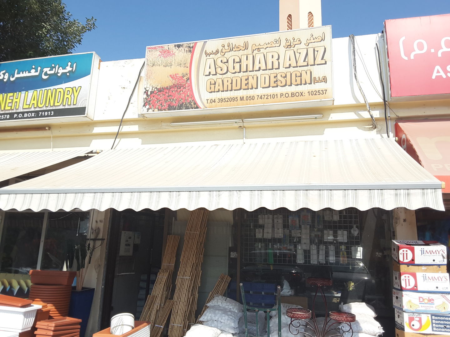 HiDubai-business-asghar-aziz-garden-design-animals-pets-plants-plants-gardening-stores-al-safa-2-dubai-2