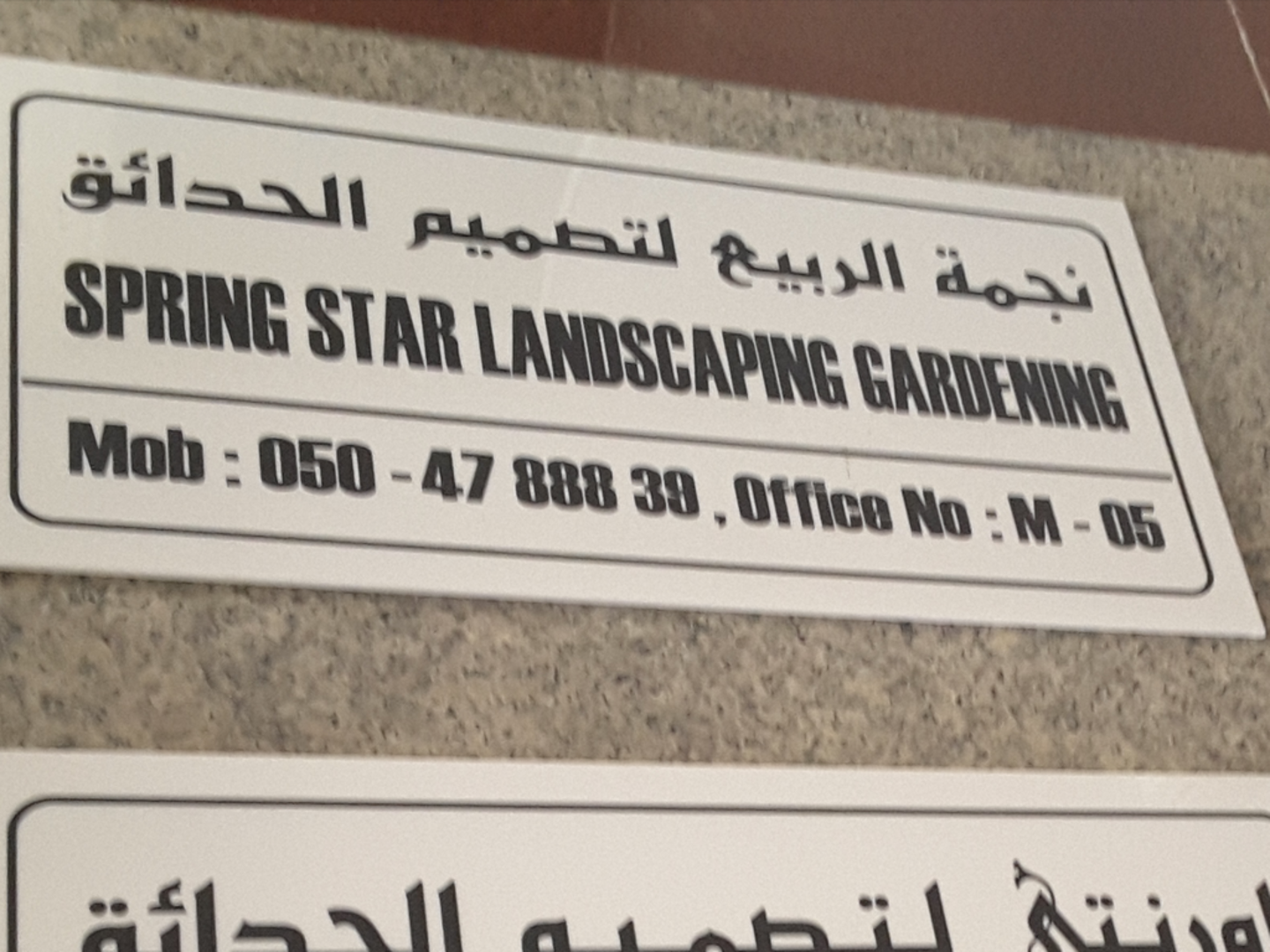 HiDubai-business-spring-star-landscaping-gardening-home-gardening-landscaping-naif-dubai-2