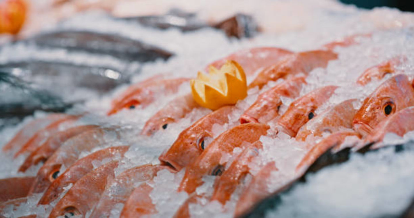 HiDubai-business-tahir-sultan-fish-trading-b2b-services-food-stuff-trading-international-city-warsan-1-dubai