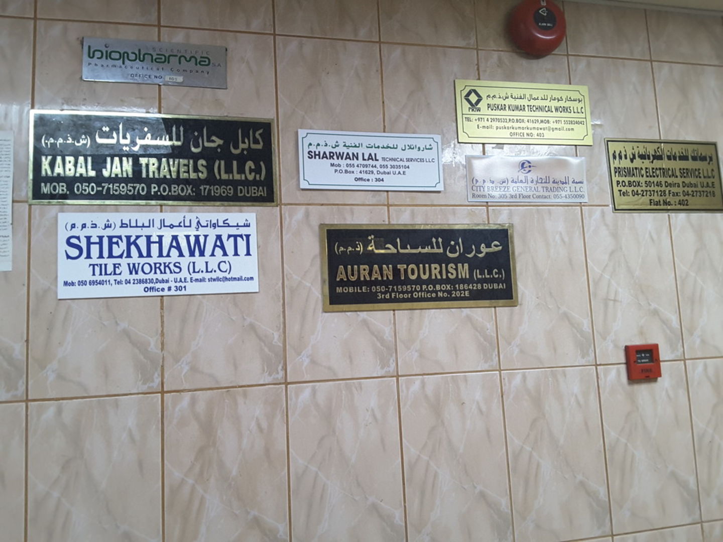 HiDubai-business-shekhawati-tile-works-home-hardware-fittings-al-murar-dubai-2