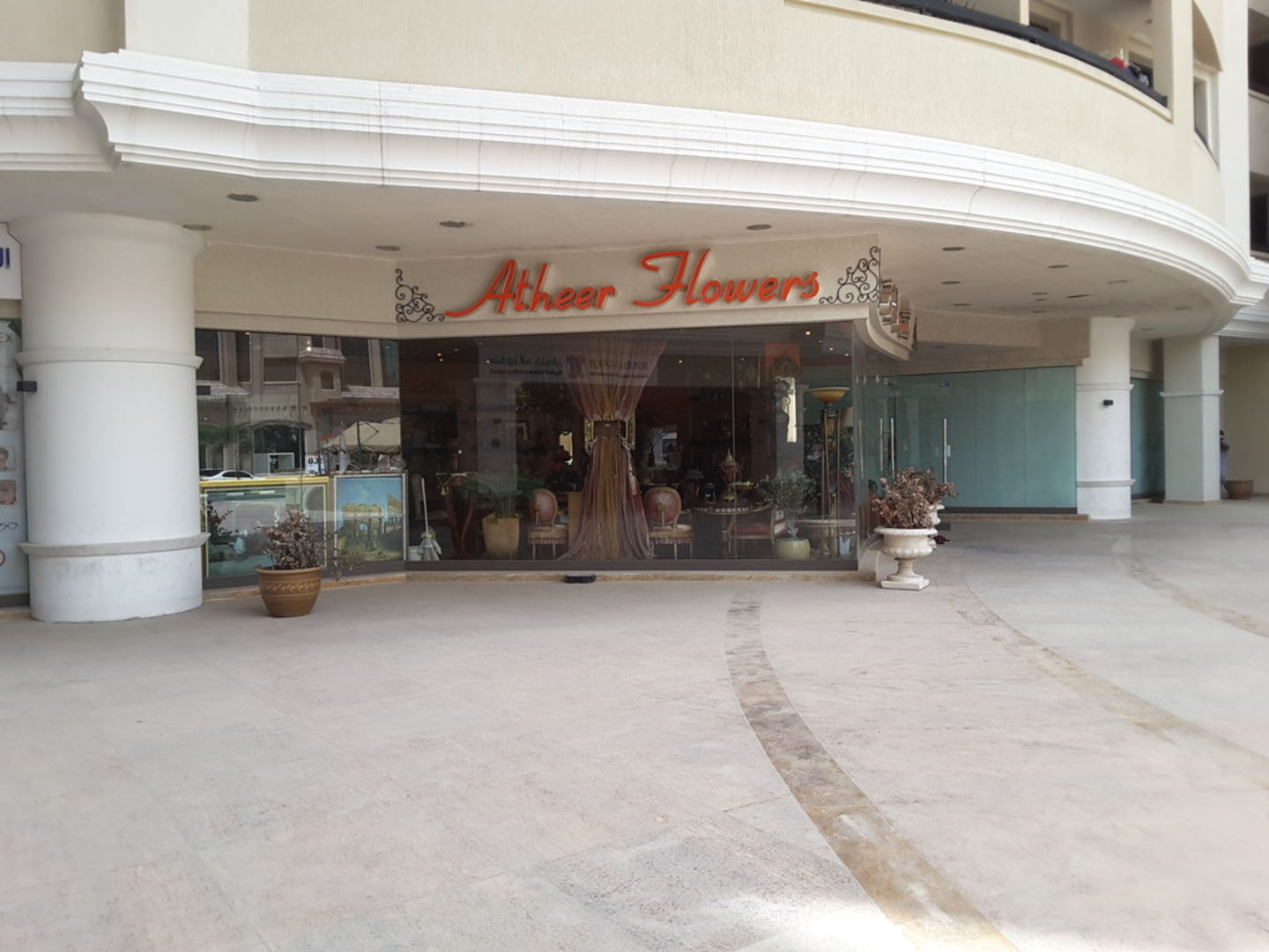 HiDubai-business-atheer-flowers-animals-pets-plants-plants-gardening-stores-dubai-healthcare-city-umm-hurair-2-dubai