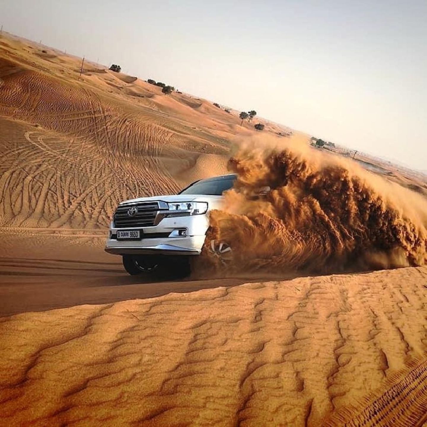 HiDubai-business-get-your-tours-hotels-tourism-local-tours-activities-jumeirah-lake-towers-al-thanyah-5-dubai