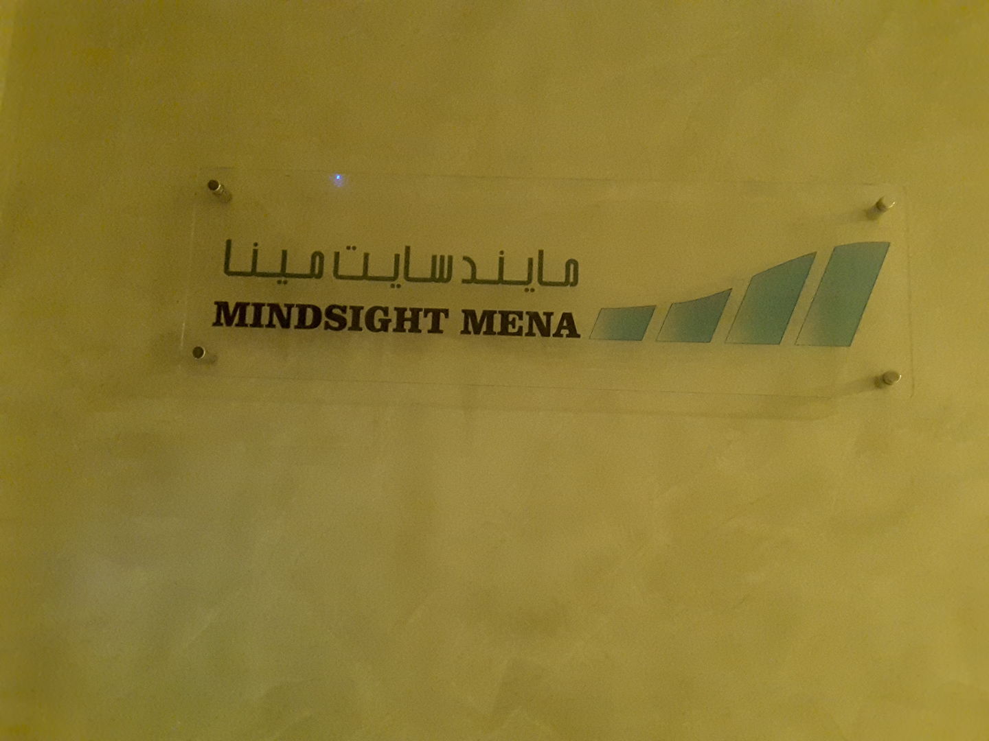 HiDubai-business-mind-sight-mena-advertising-consultants-and-studies-b2b-services-business-consultation-services-tecom-al-thanyah-1-dubai-2