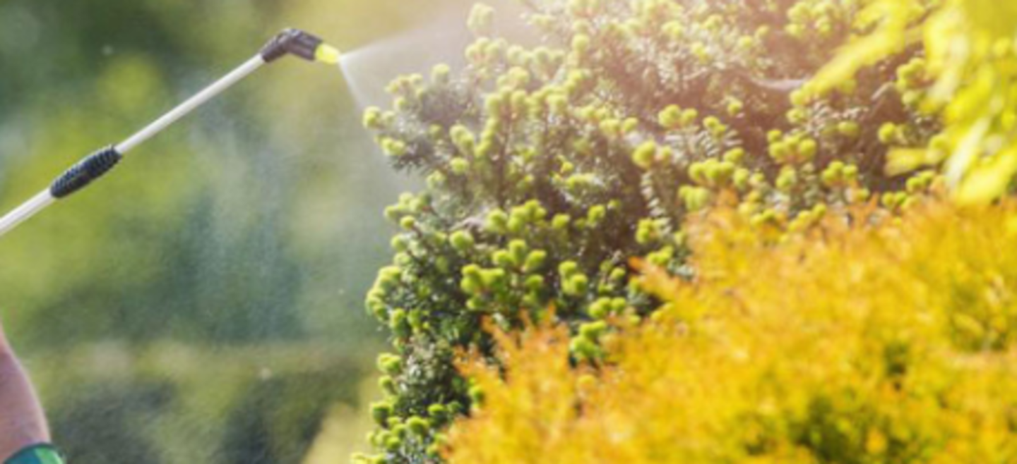 HiDubai-business-green-acres-cleaning-services-home-handyman-maintenance-services-al-quoz-industrial-1-dubai