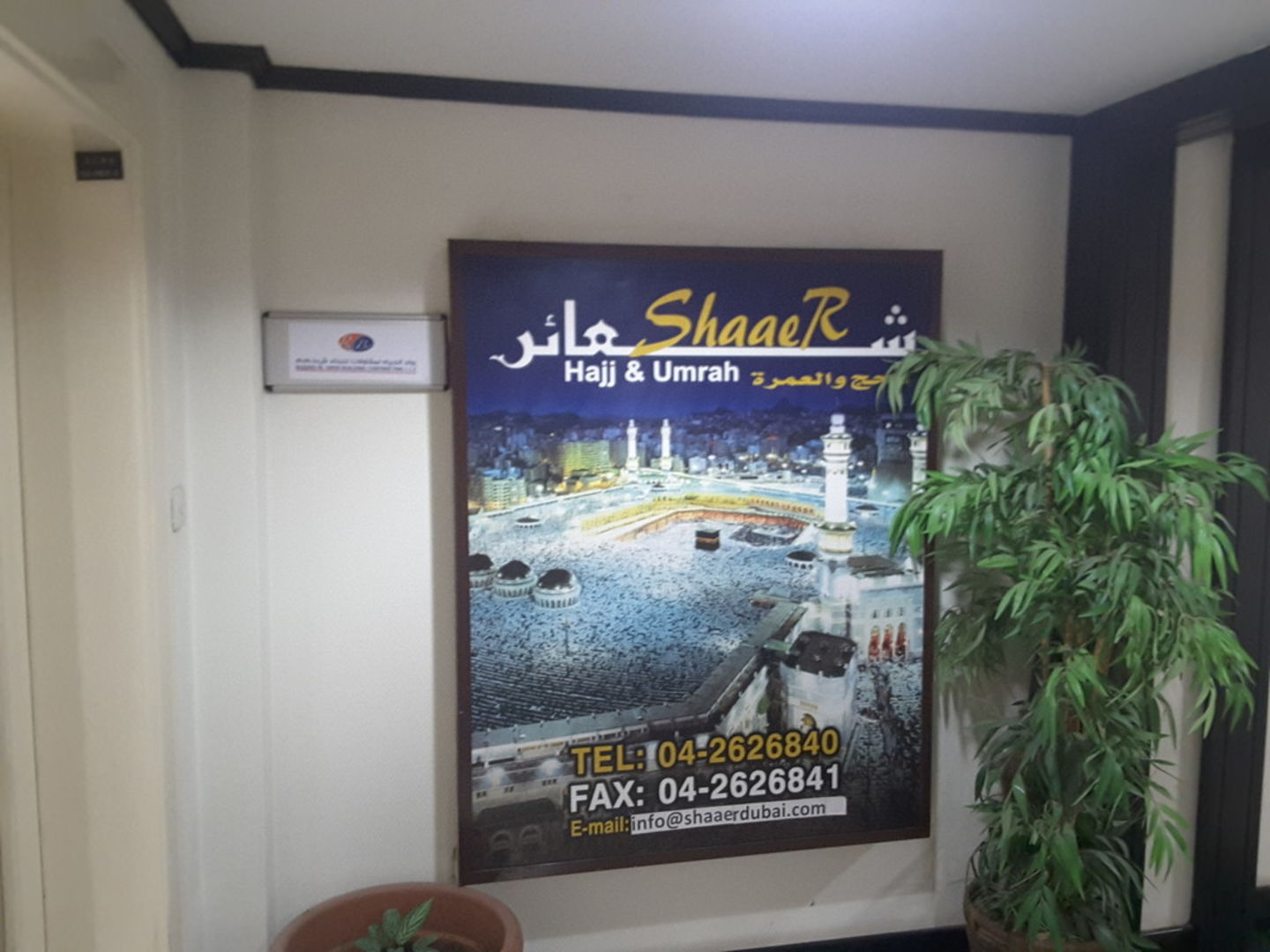 HiDubai-business-ruwad-al-haya-building-contracting-construction-heavy-industries-construction-renovation-hor-al-anz-east-dubai-2
