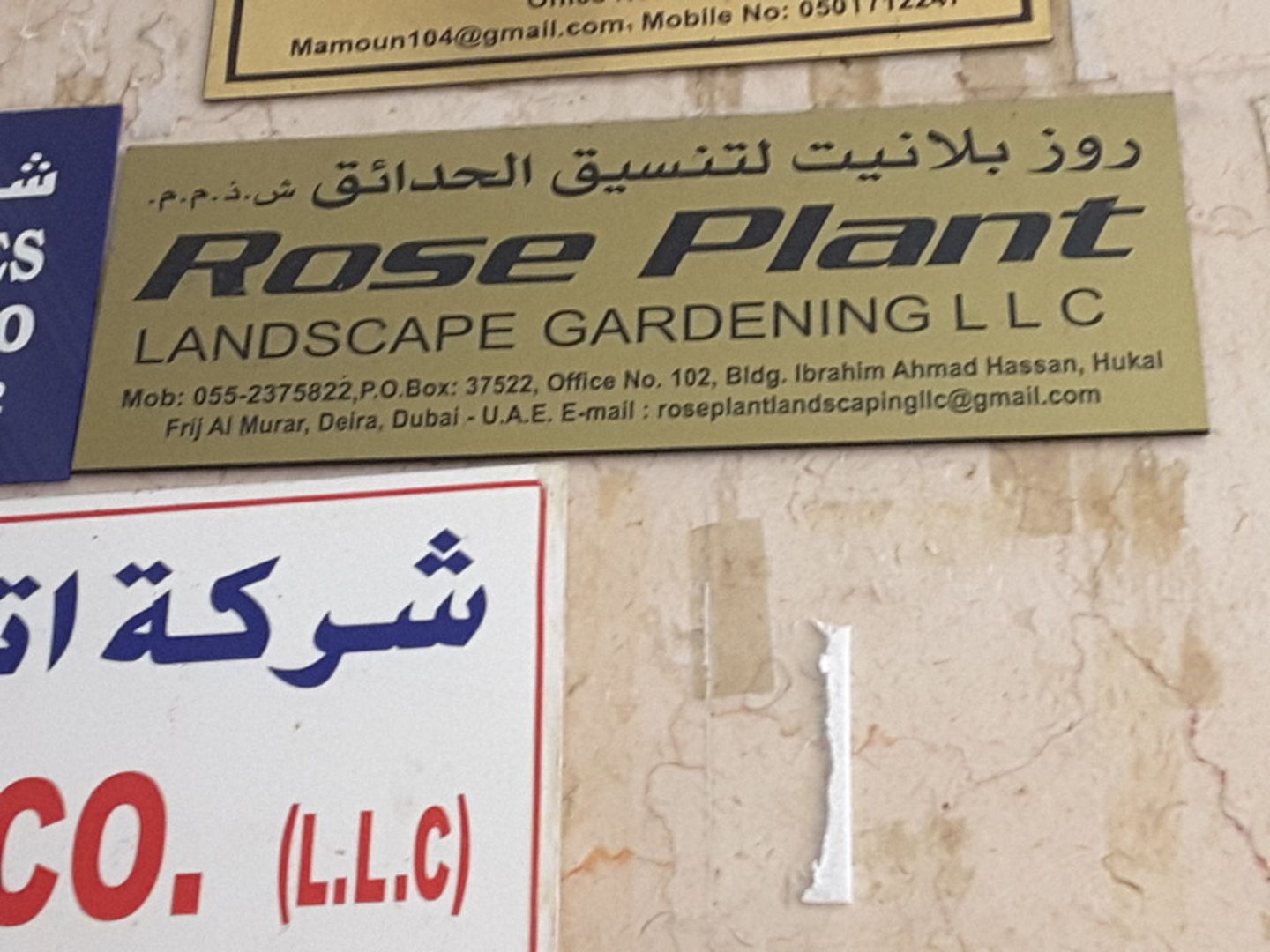 HiDubai-business-rose-plant-landscape-home-gardening-landscaping-al-murar-dubai-2