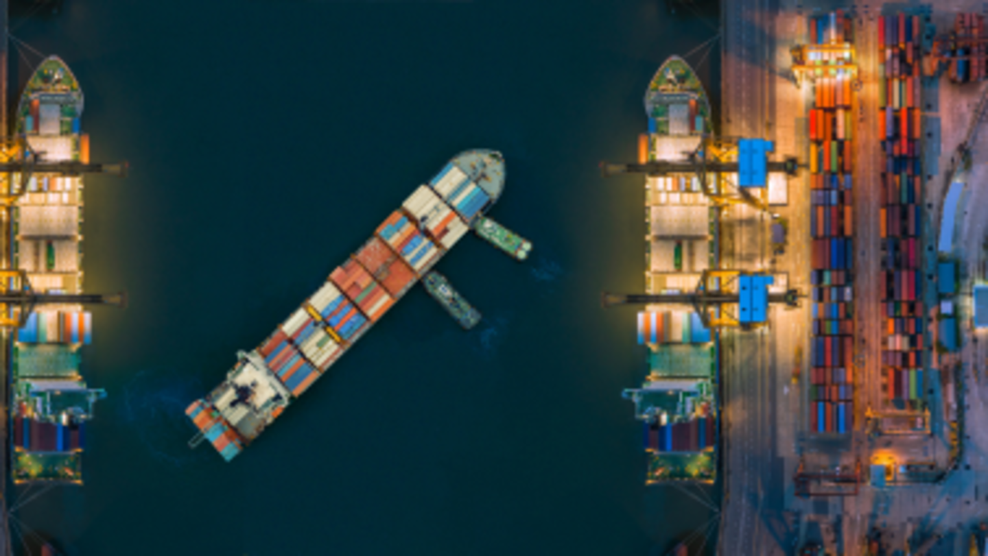 HiDubai-business-logitrans-shipping-services-shipping-logistics-shipping-al-hamriya-dubai