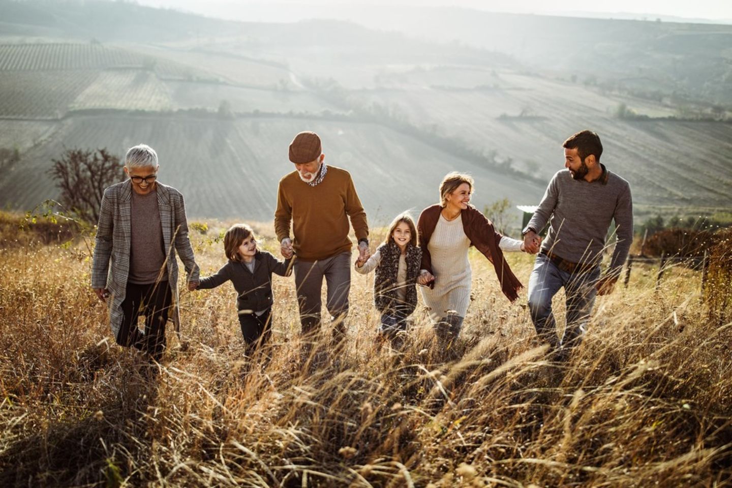 HiDubai-business-chicco-shopping-baby-gear-mirdif-dubai