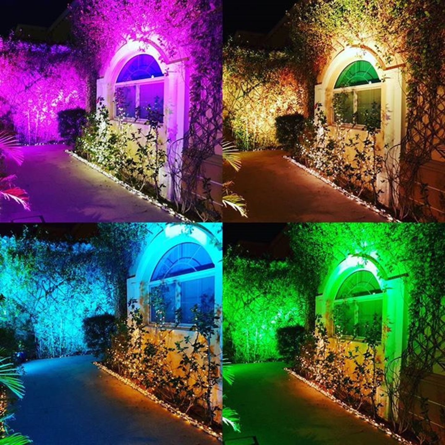 HiDubai-business-maestro-events-b2b-services-event-management-al-wasl-dubai