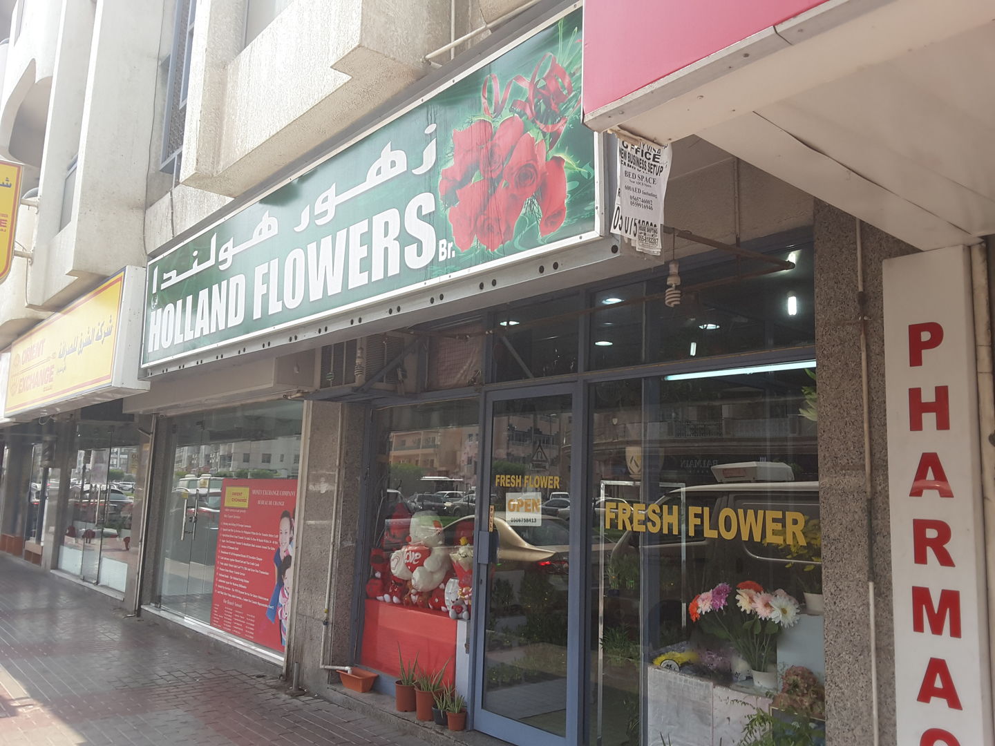 HiDubai-business-holland-flowers-shopping-souvenirs-gifts-al-karama-dubai-2