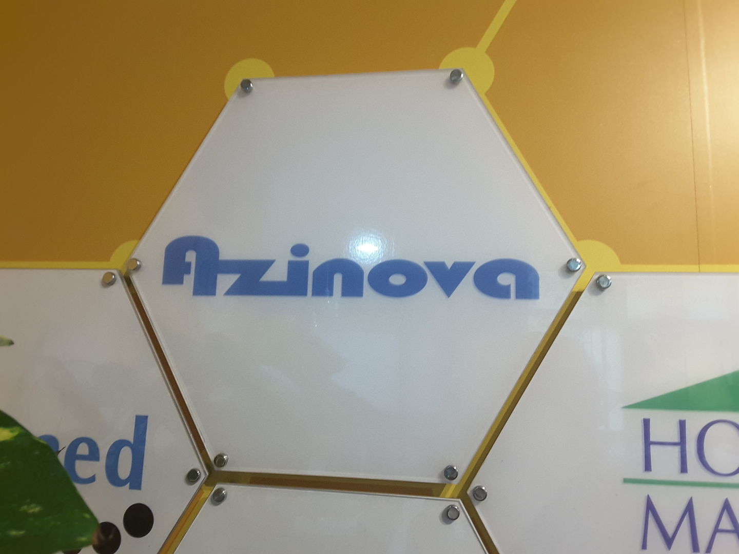 HiDubai-business-azinova-technologies-b2b-services-it-services-al-nahda-1-dubai-2