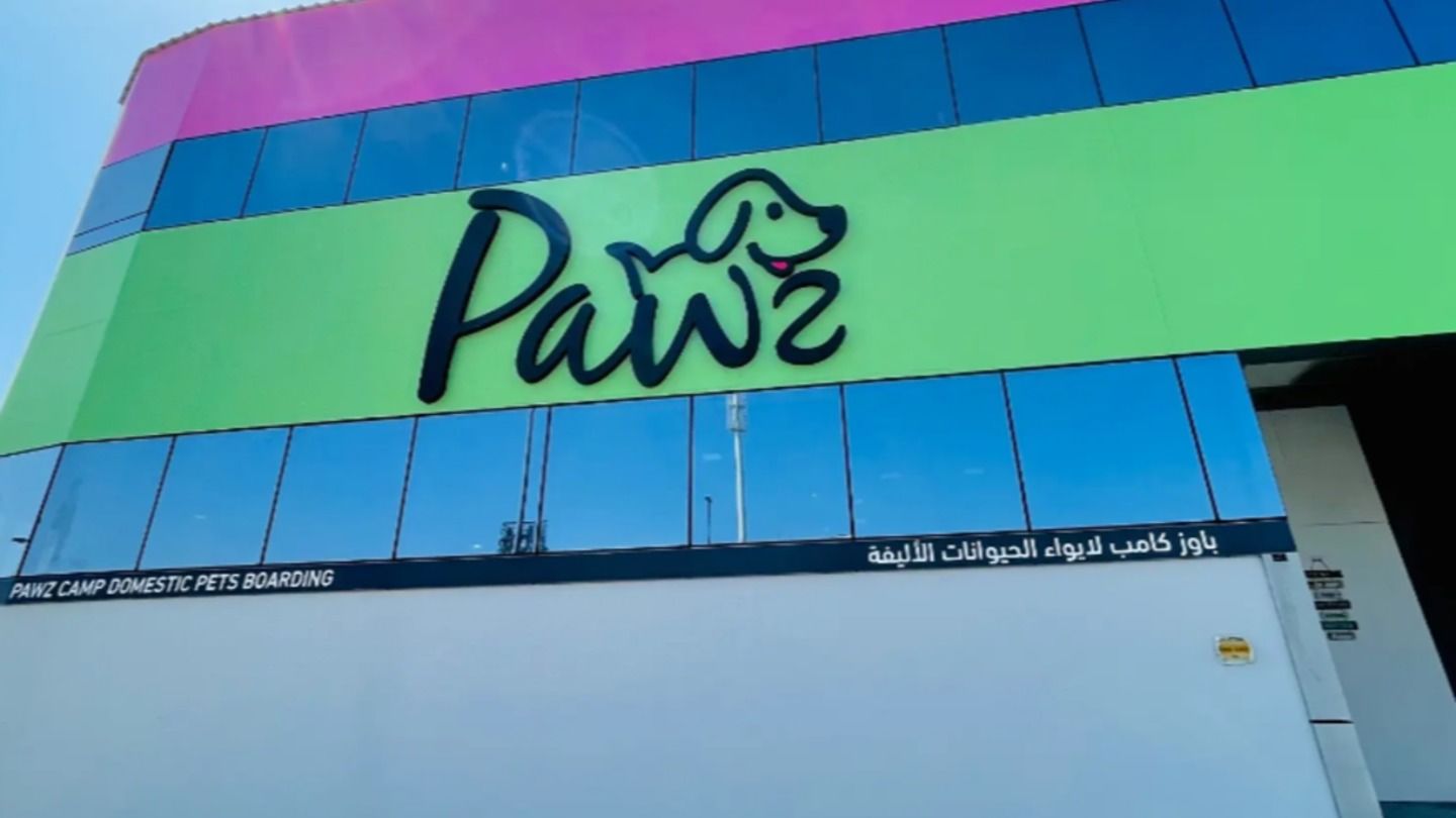 HiDubai-business-pawz-animals-pets-plants-pet-hotels-day-care-al-quoz-3-dubai