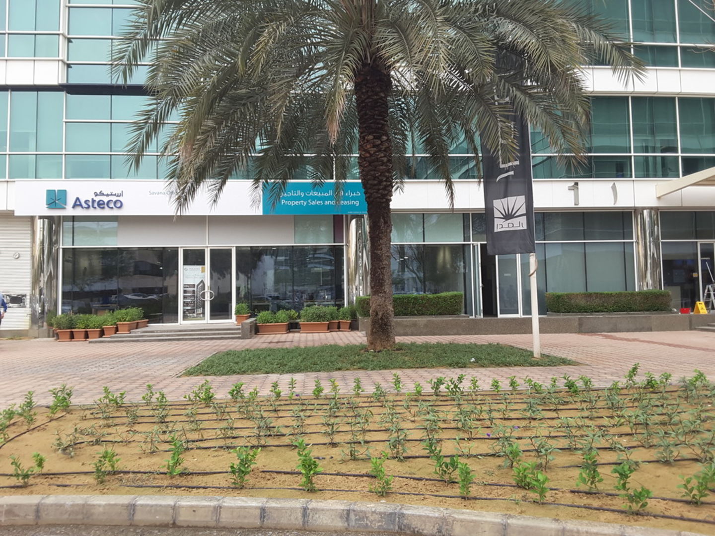 HiDubai-business-asteco-property-sales-and-leasing-housing-real-estate-property-management-dubai-international-financial-centre-zaabeel-2-dubai