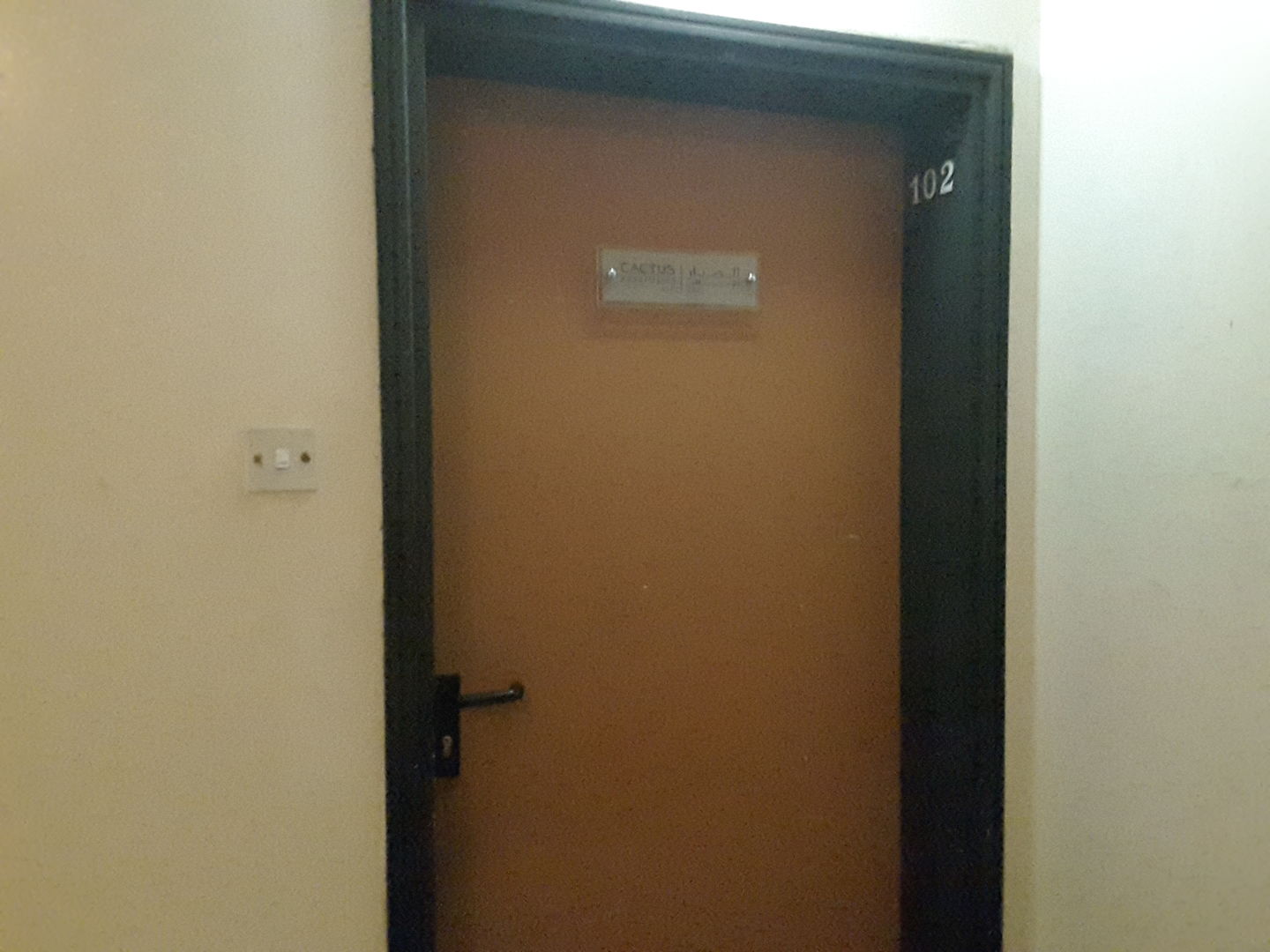 HiDubai-business-cactus-advertising-media-marketing-it-design-advertising-agency-al-muteena-dubai-2