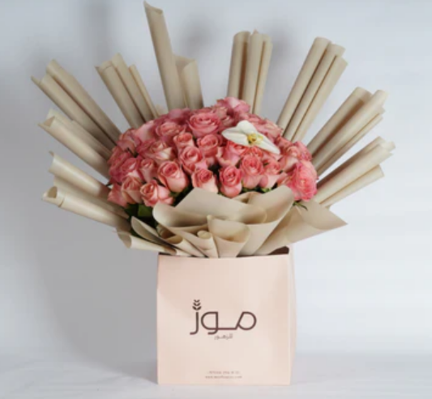 HiDubai-business-moz-flowers-animals-pets-plants-plants-gardening-stores-wadi-alamardi-dubai