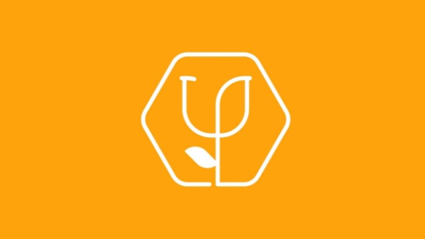 HiDubai-business-uplifting-floral-studio-animals-pets-plants-plants-gardening-stores-business-bay-dubai