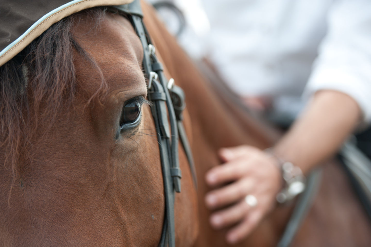 HiDubai-business-tack-track-shopping-sporting-goods-equipment-dubai-international-financial-centre-zaabeel-2-dubai