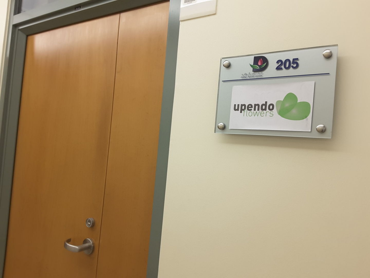 HiDubai-business-upendo-flowers-b2b-services-distributors-wholesalers-dubai-cargo-village-dubai-international-airport-dubai-2