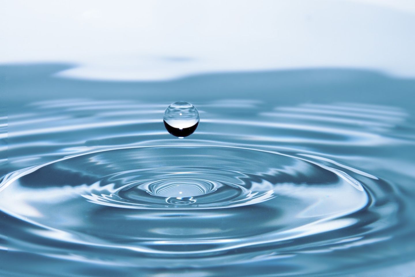 HiDubai-business-al-rafedain-water-treatment-home-water-gas-delivery-services-al-qusais-industrial-3-dubai-2