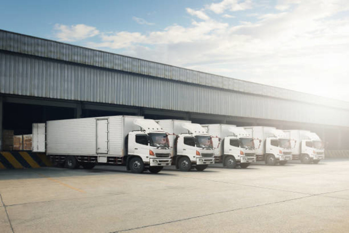 HiDubai-business-al-hammama-heavy-light-trucks-transport-shipping-logistics-road-cargo-services-al-qusais-industrial-1-dubai