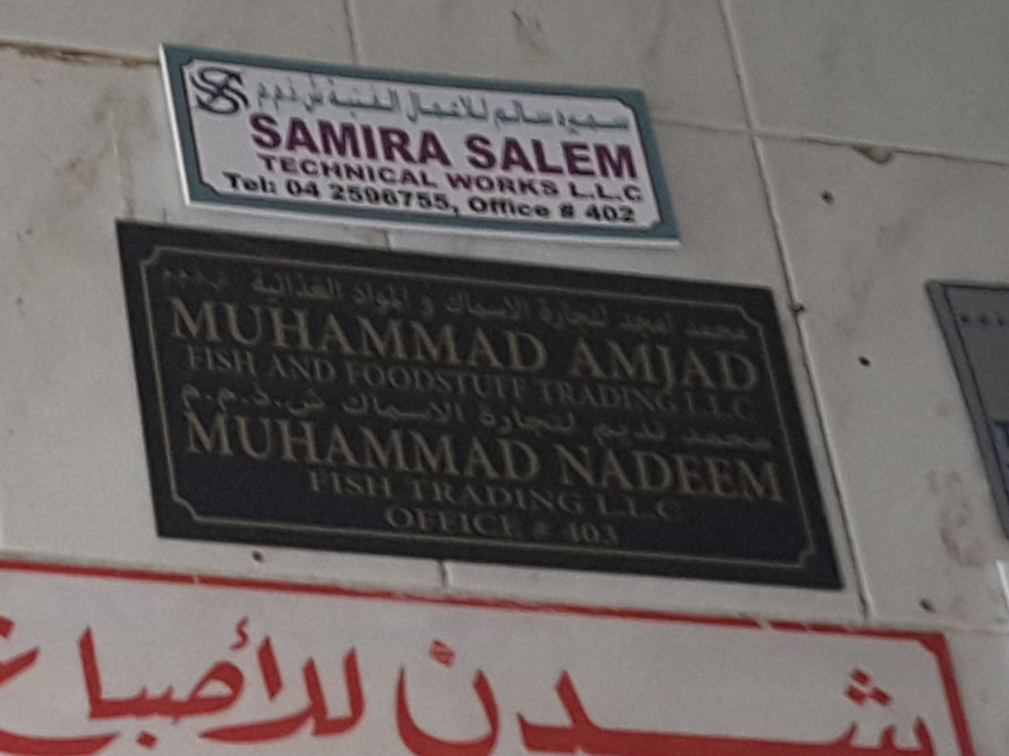 HiDubai-business-muhammad-nadeem-fish-trading-b2b-services-distributors-wholesalers-al-murar-dubai-2