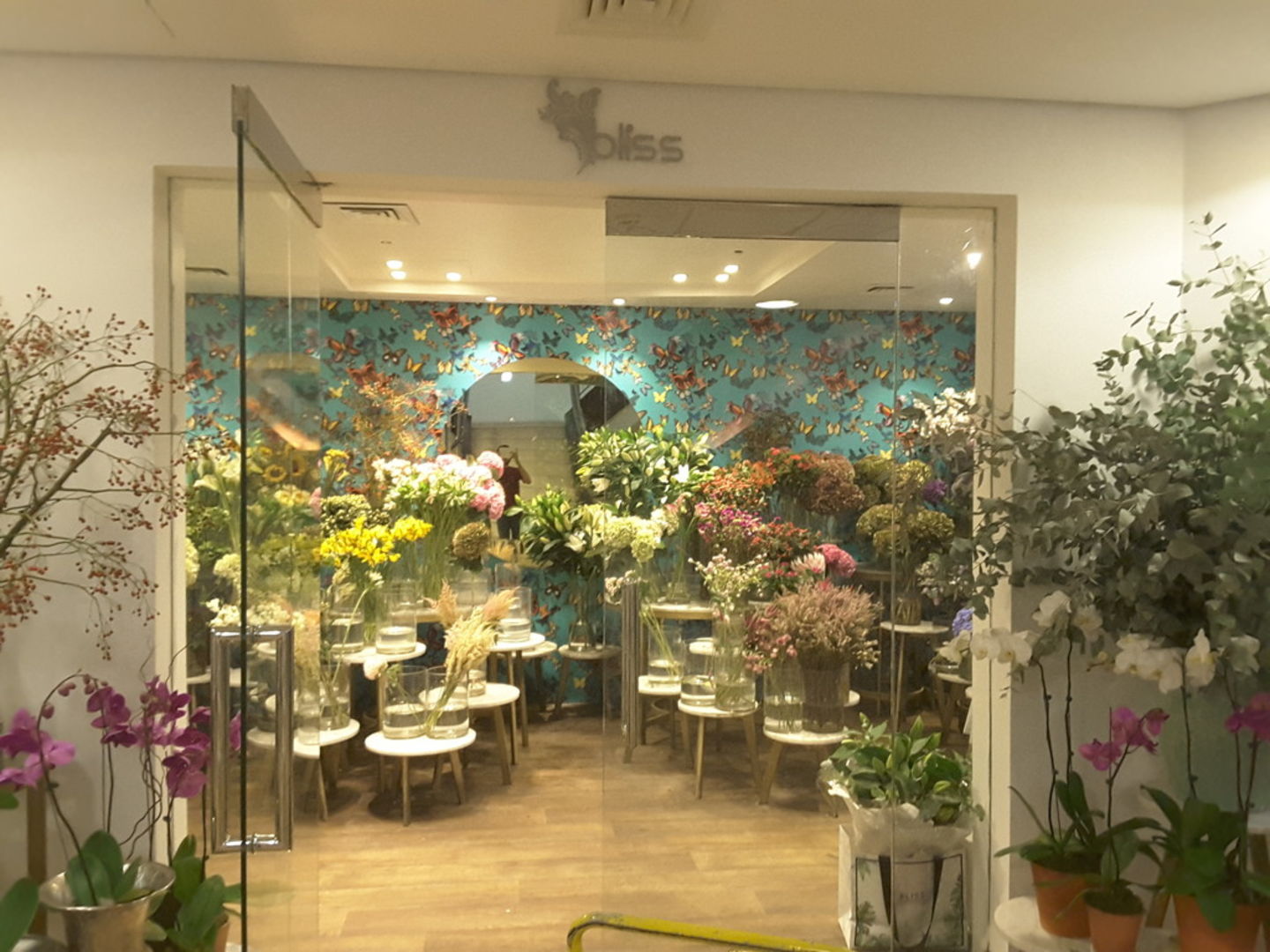 HiDubai-business-bliss-boutique-shopping-garden-outdoor-the-palm-jumeirah-nakhlat-jumeirah-dubai-2