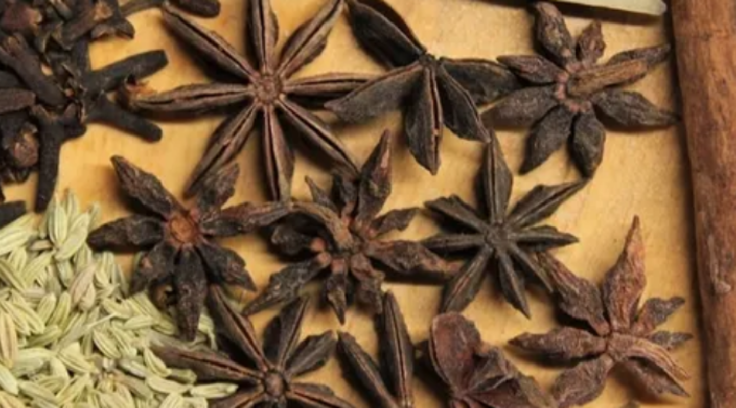 HiDubai-business-buy-4-rich-b2b-services-distributors-wholesalers-downtown-dubai-dubai