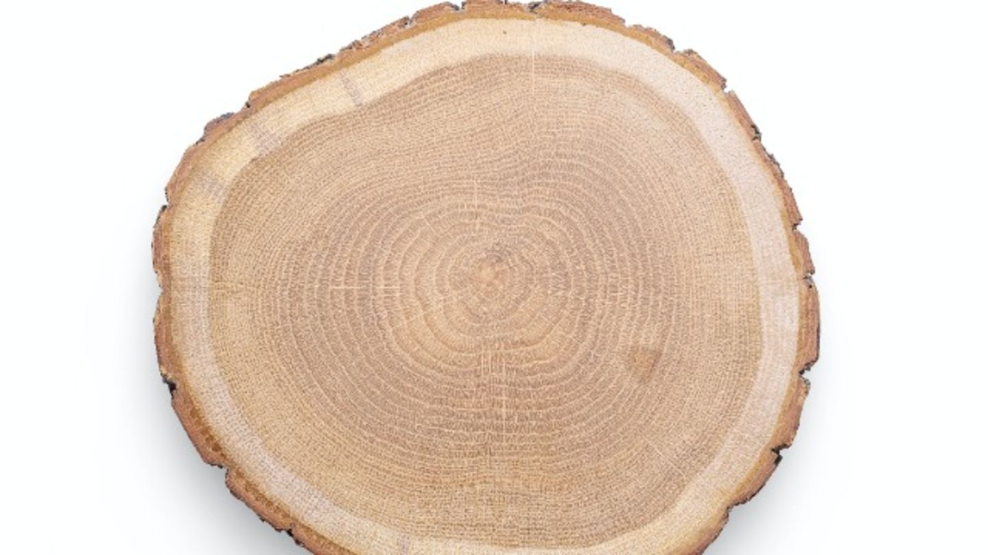 HiDubai-business-amazon-wood-carpentry-shopping-furniture-decor-ras-al-khor-industrial-2-dubai