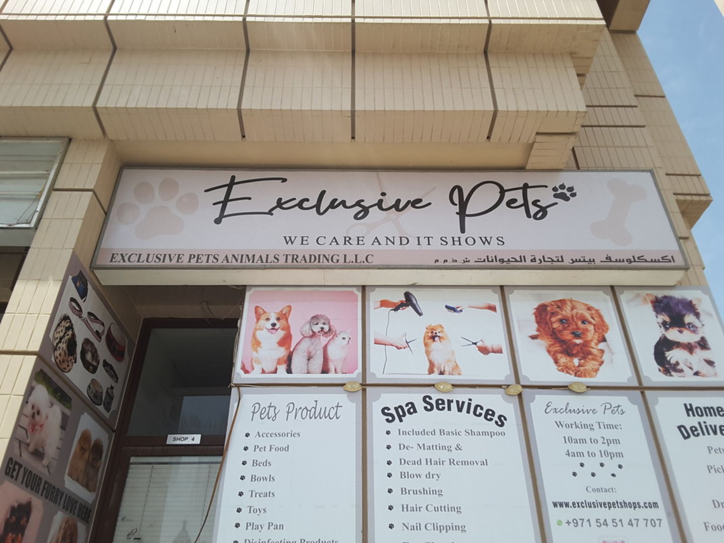 HiDubai-business-exclusive-pets-animals-pets-plants-pet-grooming-centres-international-city-warsan-1-dubai