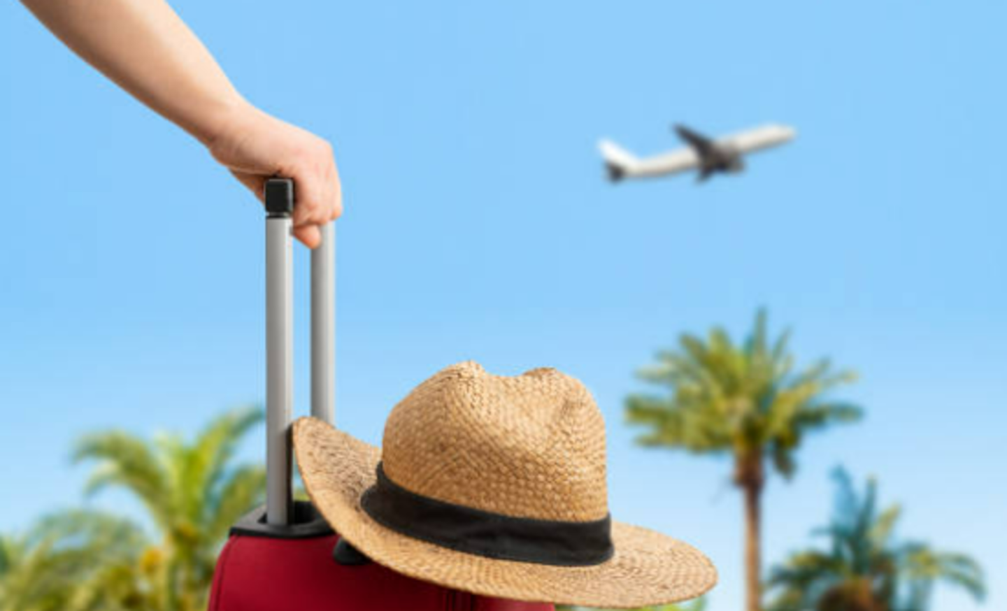 HiDubai-business-royal-jordanian-airline-hotels-tourism-airlines-service-providers-port-saeed-dubai