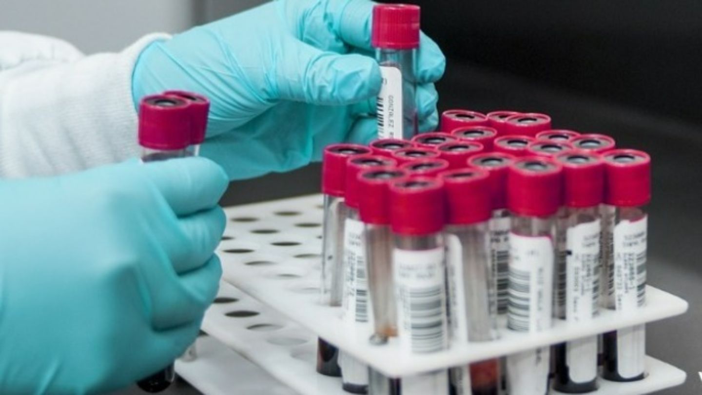 HiDubai-business-zain-al-shifa-home-health-care-center-home-nanny-services-al-nahda-2-dubai-1