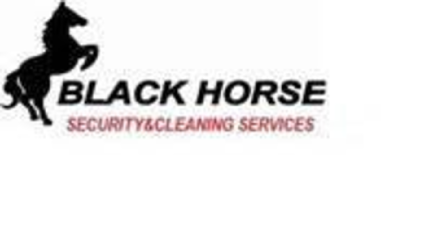 Black Hourse Building Security(Safety & Security) in Port Saeed, Dubai HiDubai
