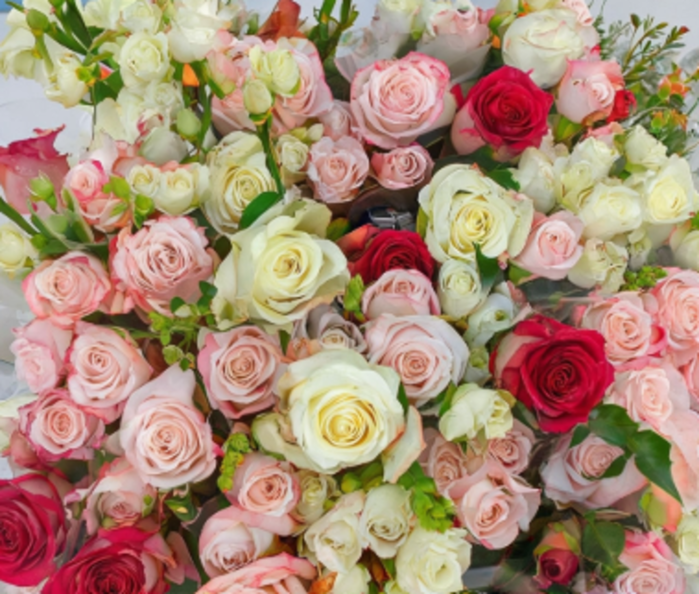 HiDubai-business-black-and-blanc-flower-trading-animals-pets-plants-plants-gardening-stores-business-bay-dubai