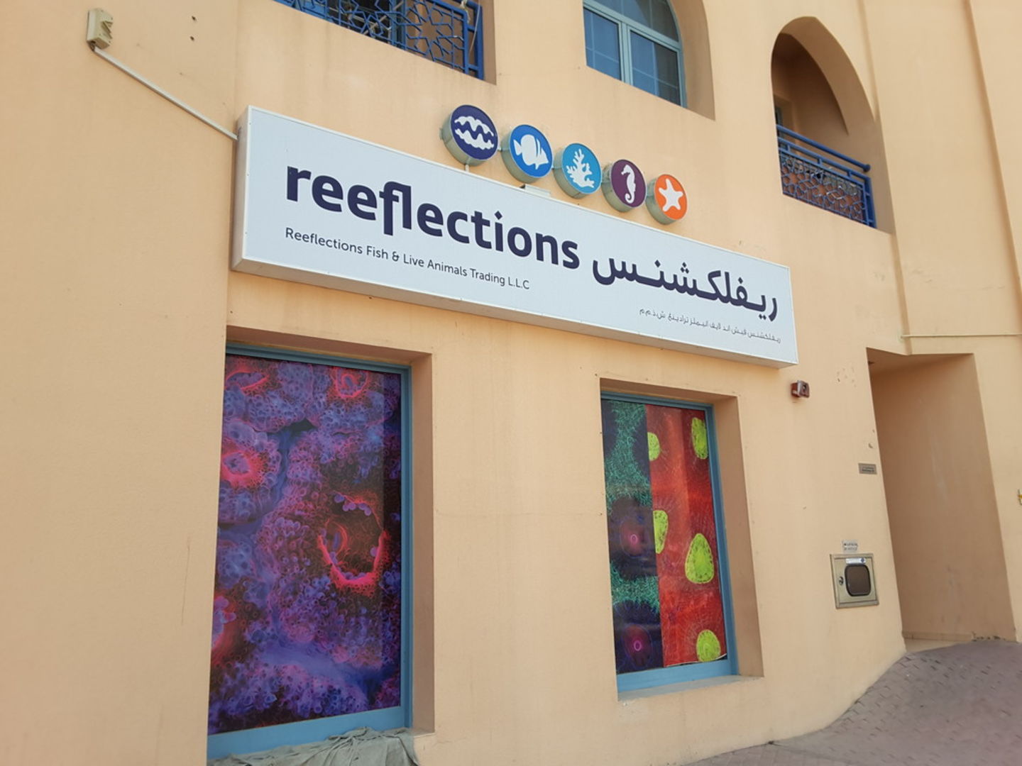 HiDubai-business-reeflections-fish-and-live-animals-trading-b2b-services-distributors-wholesalers-international-city-warsan-1-dubai-2