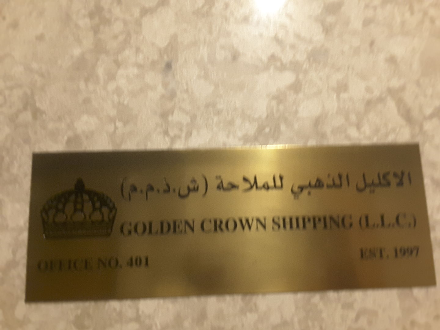 HiDubai-business-golden-crown-shipping-shipping-logistics-sea-cargo-services-riggat-al-buteen-dubai-2