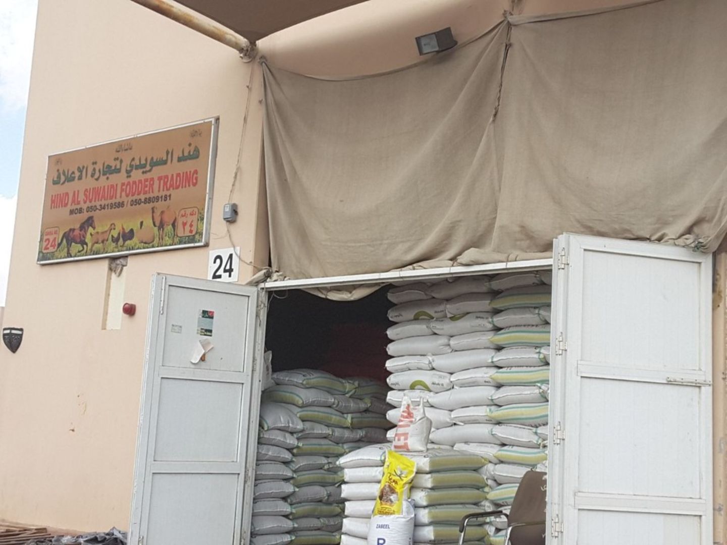 HiDubai-business-hind-al-suwaidi-fodder-trading-animals-pets-plants-pet-food-accessories-stores-margham-dubai-2