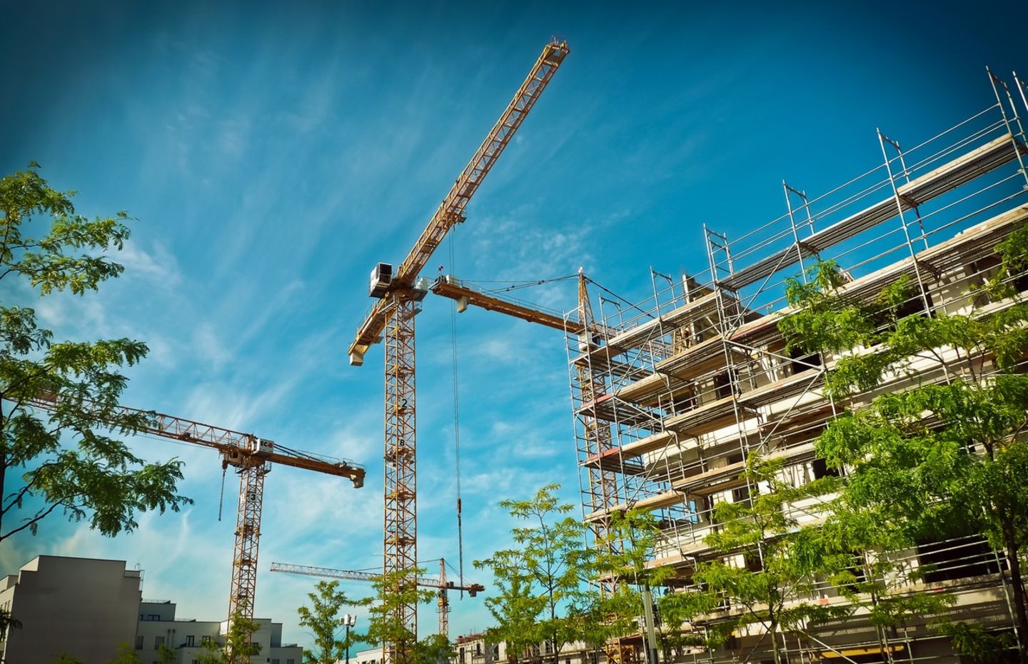 HiDubai-business-mirdif-security-safety-consultants-b2b-services-safety-security-al-mamzar-dubai