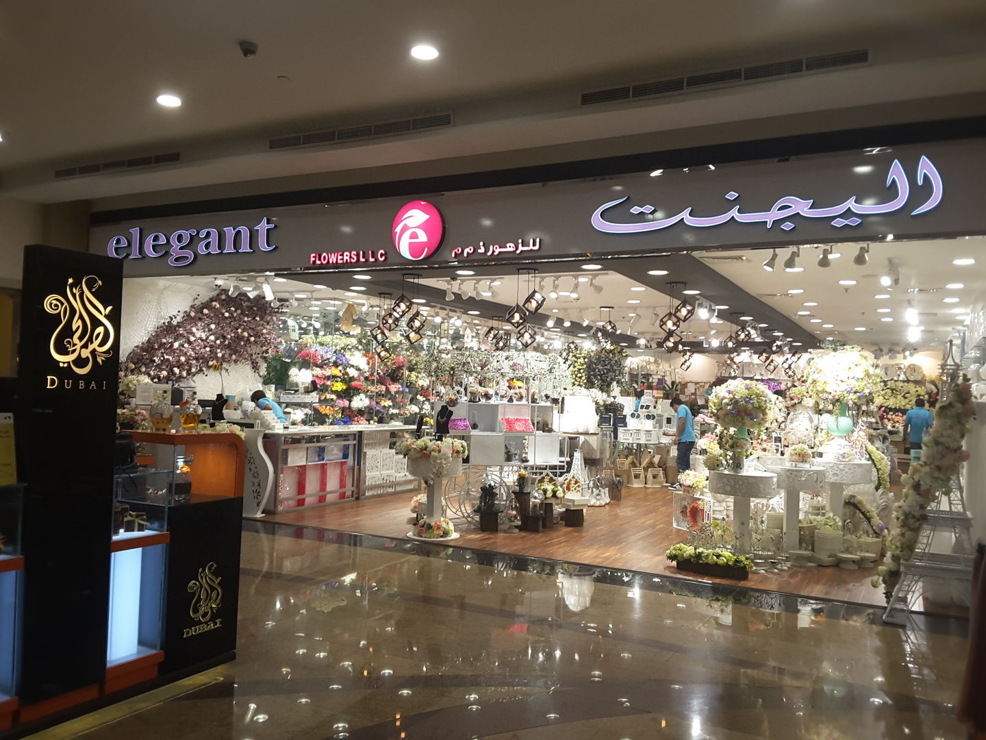 HiDubai-business-elegant-flowers-animals-pets-plants-plants-gardening-stores-mirdif-dubai-2