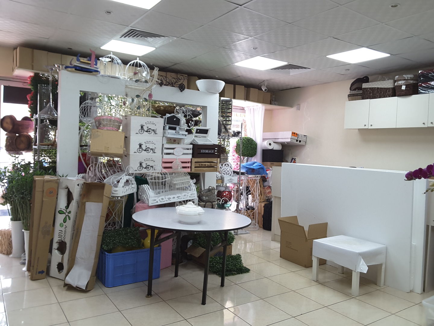 HiDubai-business-july-flowers-trading-animals-pets-plants-plants-gardening-stores-hor-al-anz-east-dubai-2
