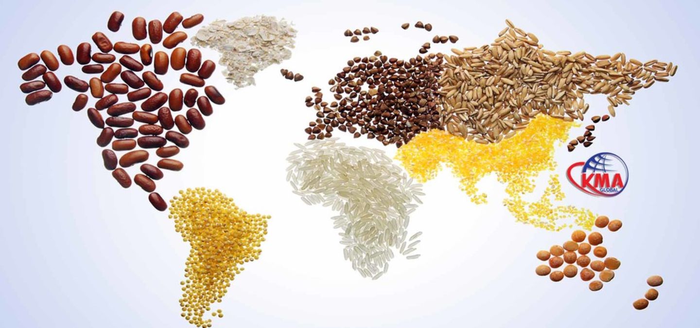 HiDubai-business-k-m-a-global-general-trading-b2b-services-distributors-wholesalers-al-qusais-industrial-5-dubai