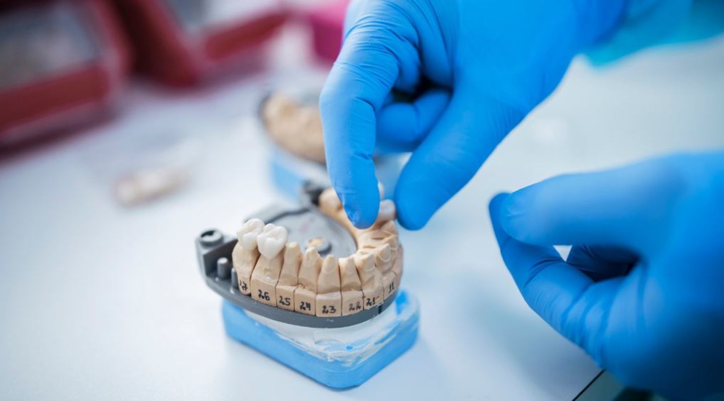 HiDubai-business-boston-ivy-dental-laboratory-beauty-wellness-health-labs-medical-test-centres-green-community-dubai-investment-park-1-dubai