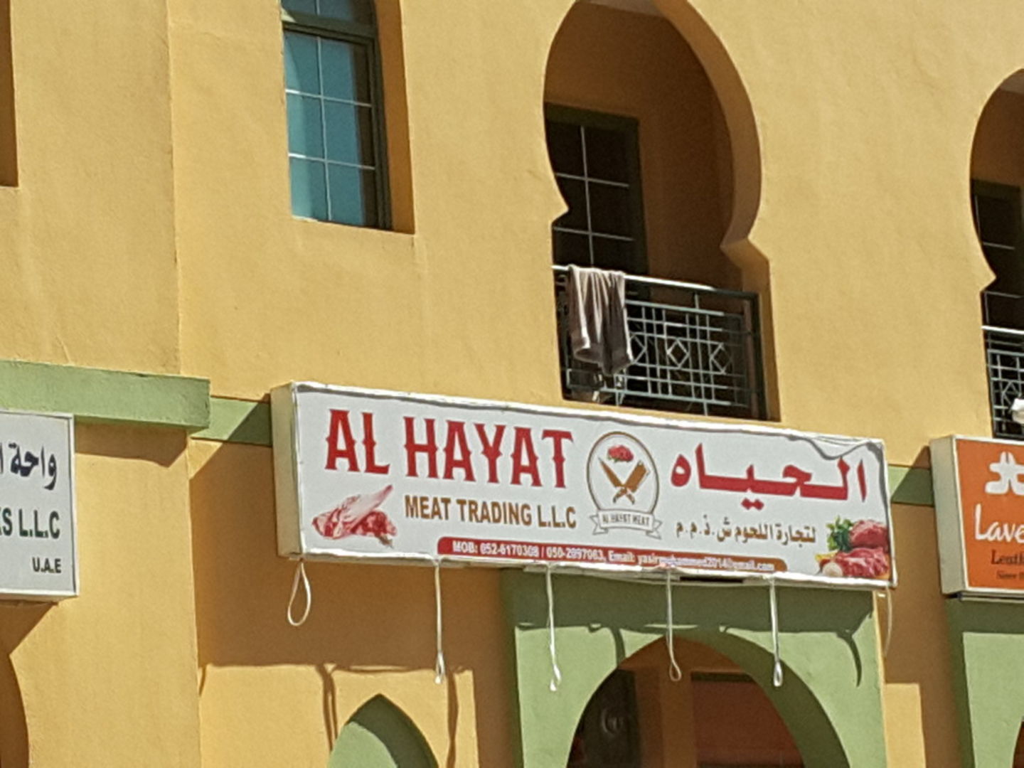HiDubai-business-al-hayat-meat-trading-b2b-services-distributors-wholesalers-international-city-warsan-1-dubai
