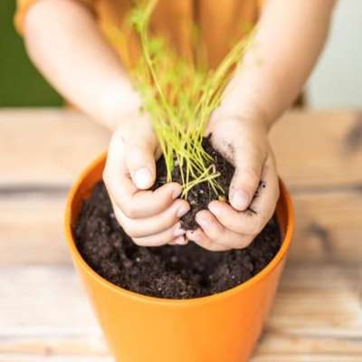 Luna Learning(Training & Learning Centres) in Global Village (Wadi Al ...